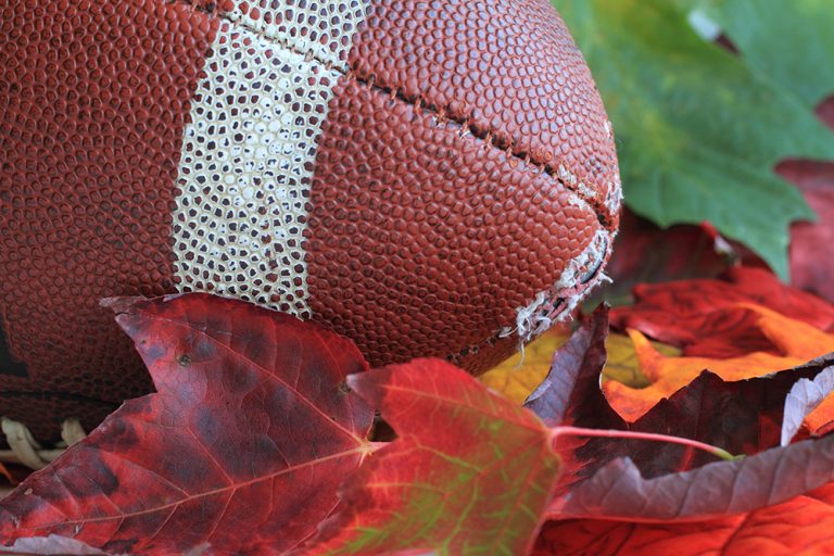 Football in autumn leaves