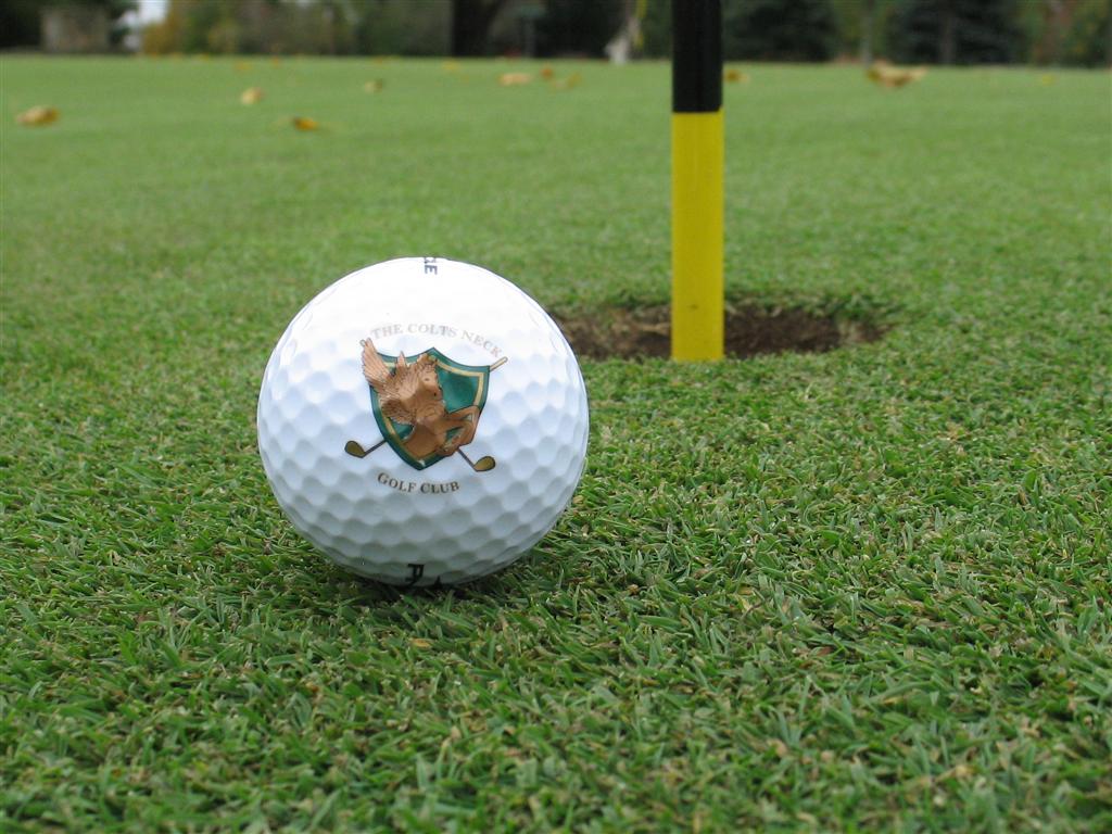 colts neck 2