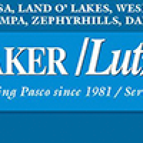 The Laker Lutz News About Sports Facilities Advisory